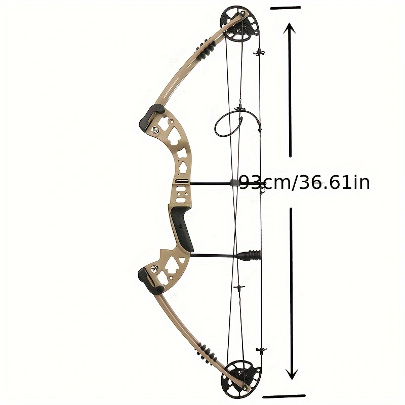 Archery Bowfishing Compound Bow Kit With Bowfishing Reel, Left/Right Hand Compound Bow For Adult, Fishing